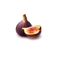 fruits